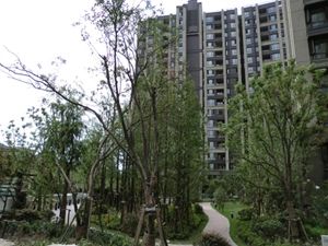 浦东三林+朝南三房+安静位置+视野开阔+采光好