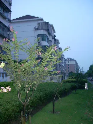 【上海古桐公寓小区,二手房,租房】- 上海房天下