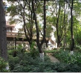 此房为电梯单位楼,有小区管理,马塞克外墙