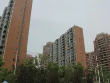 一梯两户,南北通透,近地铁,现代风格