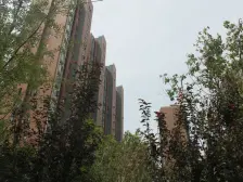 万科金色城市 3室1厅 南