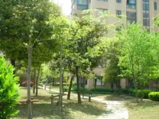 诚意出售可大砍刀,小区内圈下叠,买入价高,双书包小区,