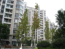 新上大一房!品质小区品质物业!闹中取静您的优选好房