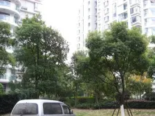 精典三房,位置安静,业主诚心出售,小区唯.一一套三房,采光好