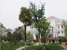 园林设计花园小区+近地铁出行购物方便+有车位