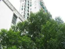 和平公寓 1室2厅 南