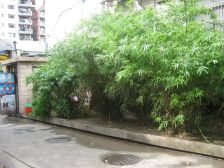 内环内,和平公园,边套全明2卫,南阳台,中间楼层