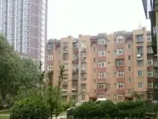 轮胎厂宿舍 3室1厅 南 北