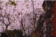 精装修温馨小屋全明厅有北窗带院子约10平