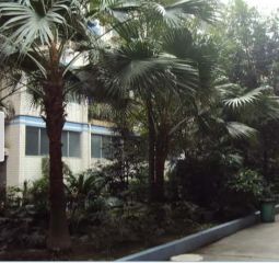 四季花乡 2室2厅 西北