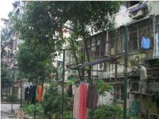 中间层加装好电梯+精装修保养好+户型正气视野开阔