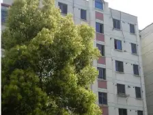 195万安家奉贤南桥的烫金地段