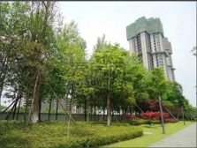 置信逸都B区3室1厅东南
