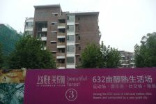 上东阳光艾特公馆3室1厅东西