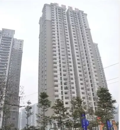东湖国际实景图