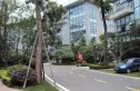 金沙商业中心实景图