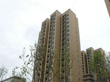 菊园新区 · 新城悠活城(**楼) · 1室 · 1厅