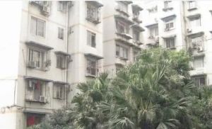 信禾人家(成华) 2室2厅 东 东南 南 西南