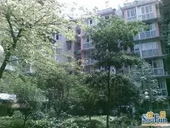 阳光雅舍实景图