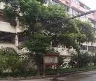 电梯房+3室1厅+房型正气+南北通+全明户型