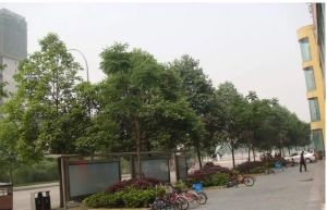 和源小区3室2厅南