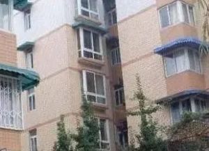 华南苑 3室2厅 南