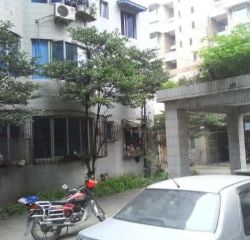 光明电器厂宿舍 2室1厅 南