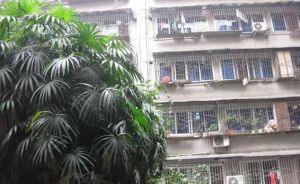 光明电器厂宿舍2室1厅南