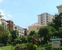 此房是高楼层,阳台阔绰,视野宽广,户型方正