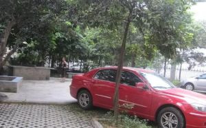 贾家巷40号院 3室2厅 东南