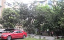 贾家巷42号3室1厅南