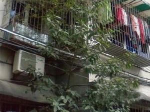 金竹苑3室2厅东北