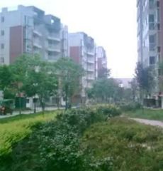 万和阳光城3室1厅东南