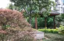 鹤舞青城实景图