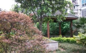 鹤舞青城2室1厅东南