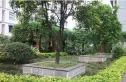 鹤舞青城实景图