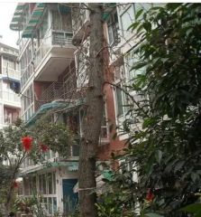 紫金花园2室1厅南
