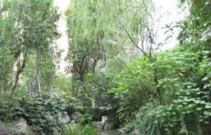 顺城苑3室1厅东南