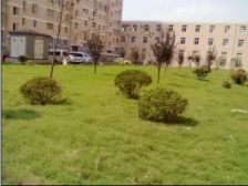 新华佳园 3室2厅 南