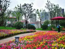 上坤公园天地别墅,景观公园全景