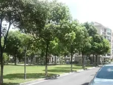 红梅苑 5室2厅 南 北