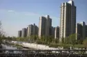 海棠花苑实景图