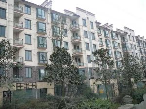 胜地金芙蓉 3室1厅 南