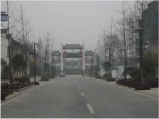 胜地金芙蓉 3室2厅 南