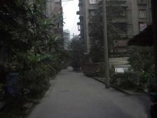 金琴路南一巷1号2室1厅东南