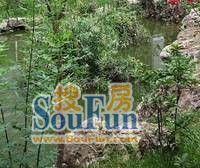 凤天路 凤西苑二房25万