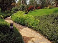 双地铁口,精装大三房,可拎包入住,东边户,诚心出售