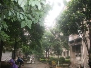 马王堆社区火星7片2室1厅南
