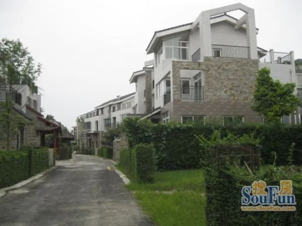 映月大家实景图