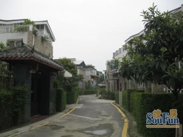 映月大家实景图